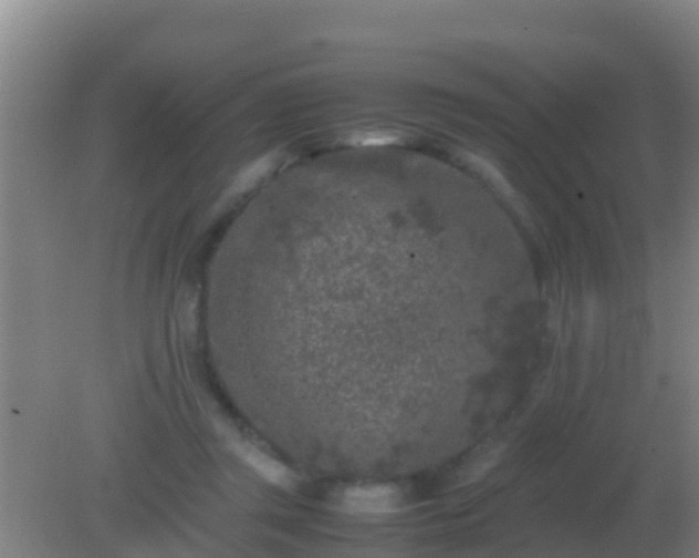 X0000082170357200701270006