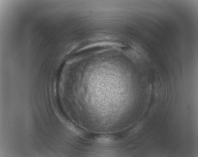 X0000082170358200701270006