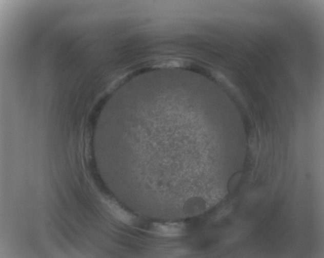 X0000082170359200701270006