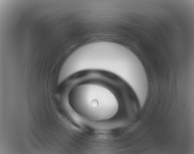 X0000082170360200701270006