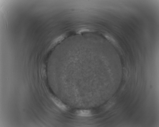 X0000082170361200701270006