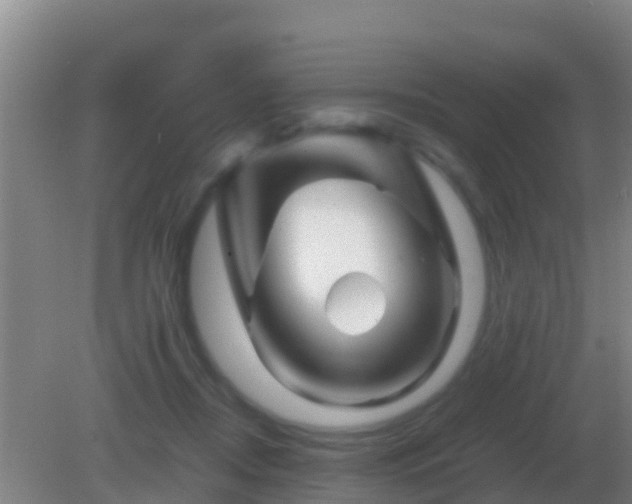 X0000082170362200701270006