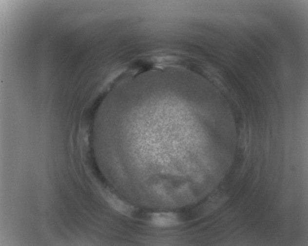 X0000082170363200701270006