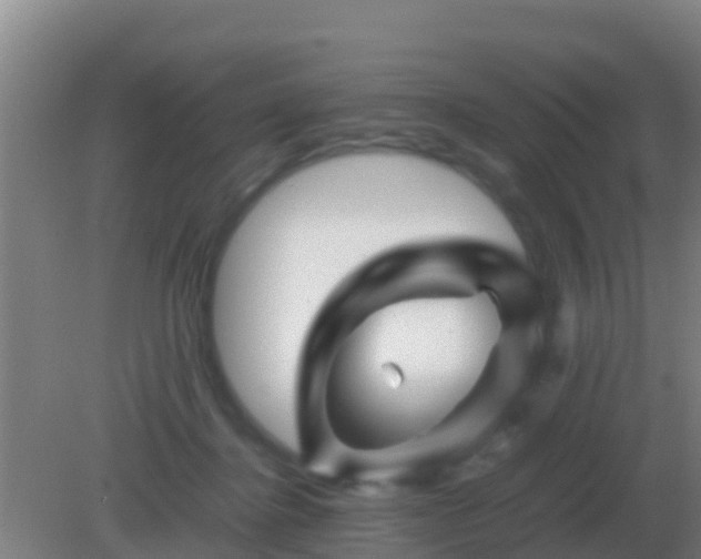 X0000082170364200701270006