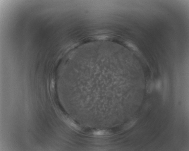 X0000082170365200701270006