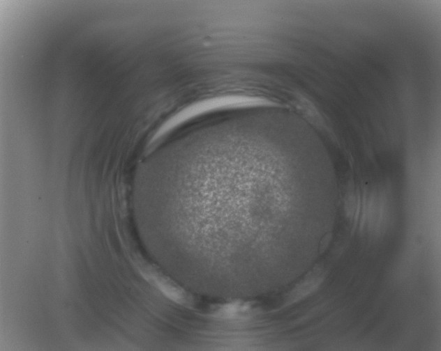 X0000082170366200701270006