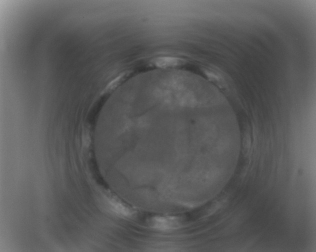 X0000082170367200701270006