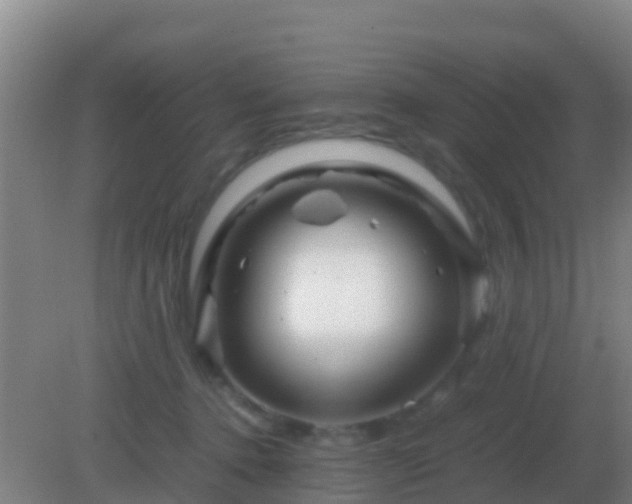 X0000082170368200701270006