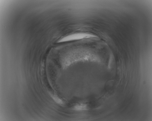 X0000082170369200701270006