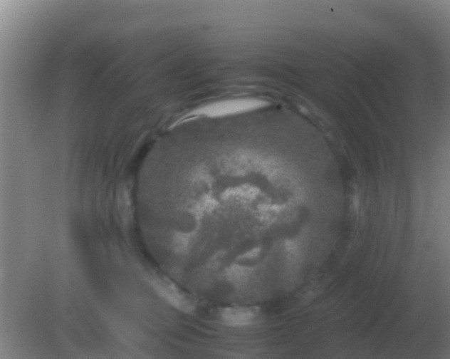 X0000082170373200701270006