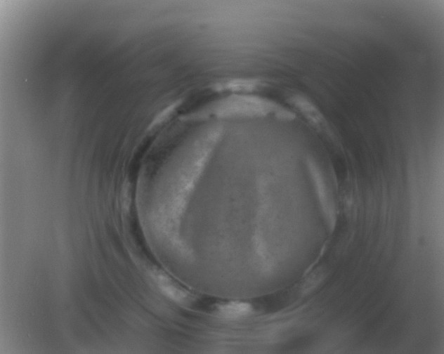 X0000082170374200701270006