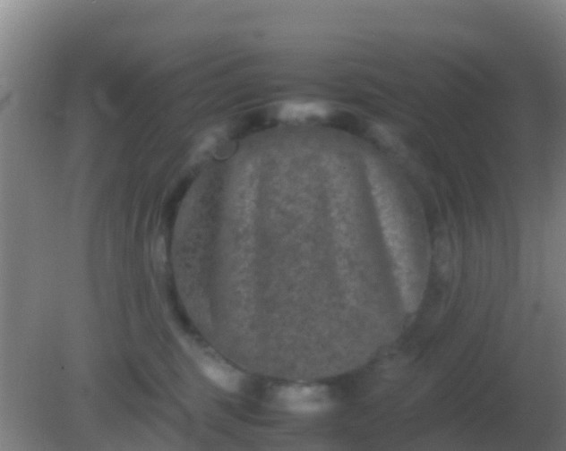 X0000082170375200701270006