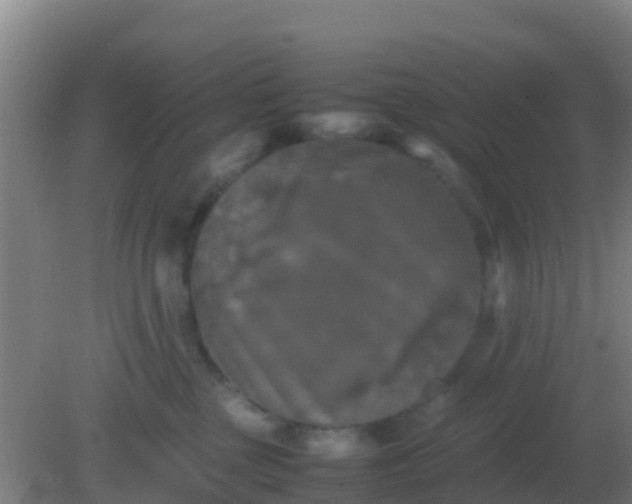 X0000082170377200701270006