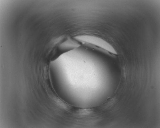 X0000082170378200701270006