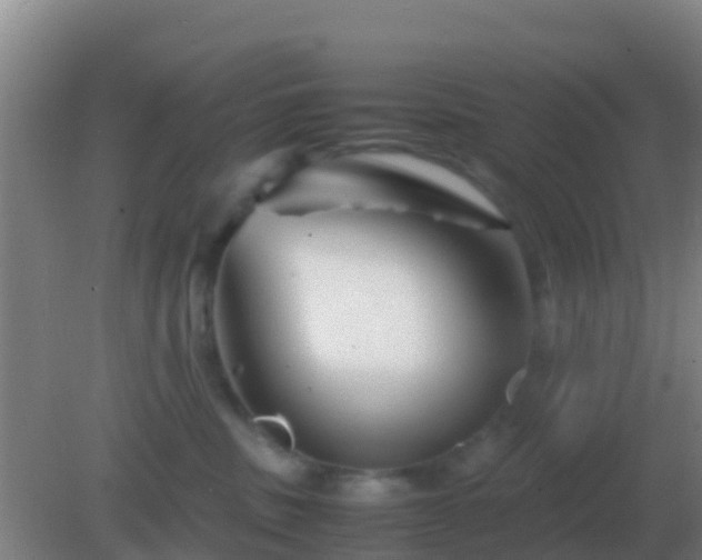 X0000082170379200701270006