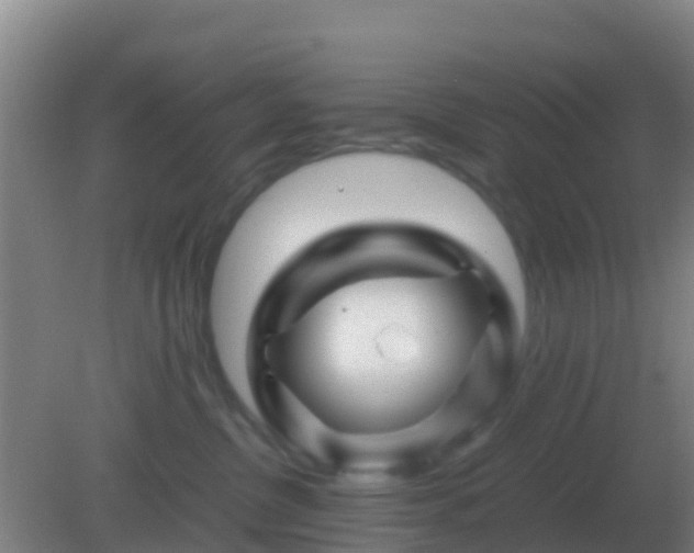 X0000082170380200701270006