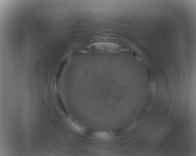 X0000082170381200701270006