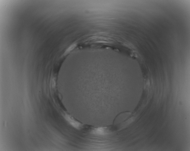 X0000082170382200701270006