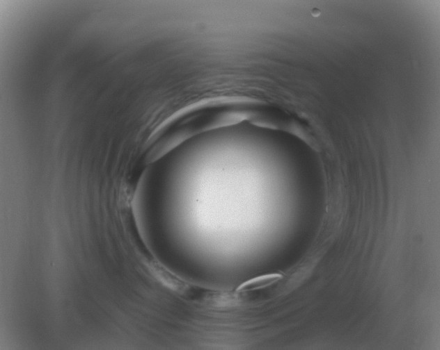 X0000082170384200701270006