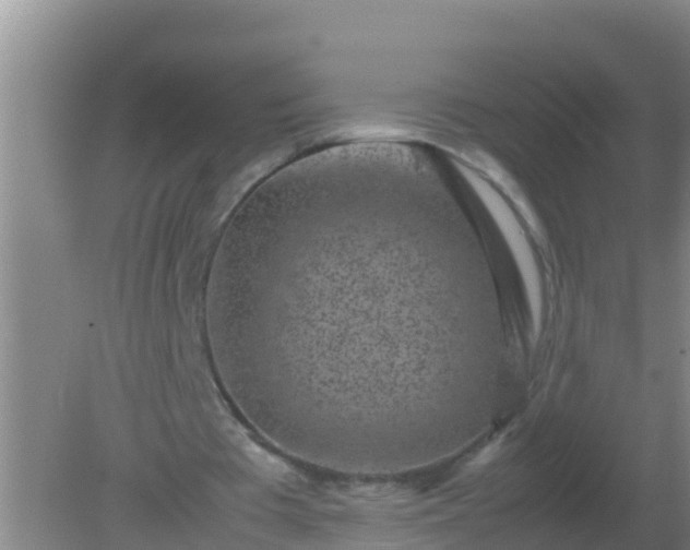 X0000082170385200701270005