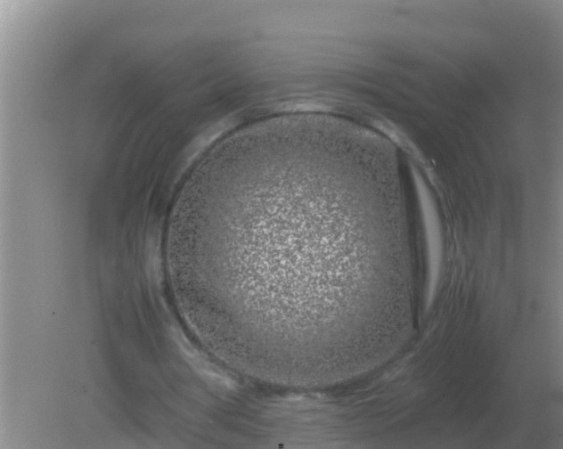 X0000082170386200701270005