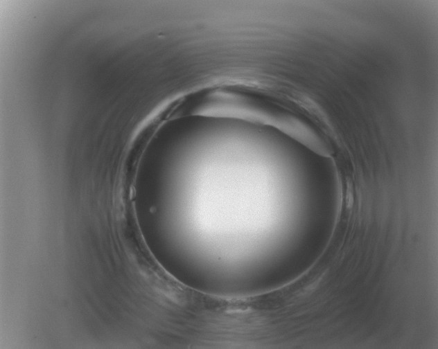 X0000082170388200701270005