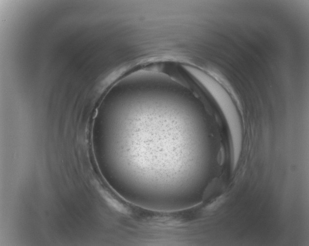 X0000082170389200701270005