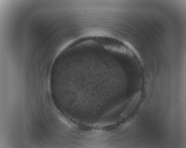 X0000082170391200701270005