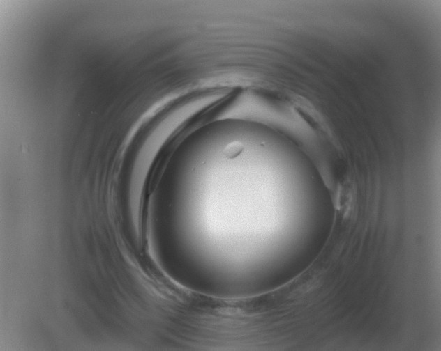 X0000082170392200701270005