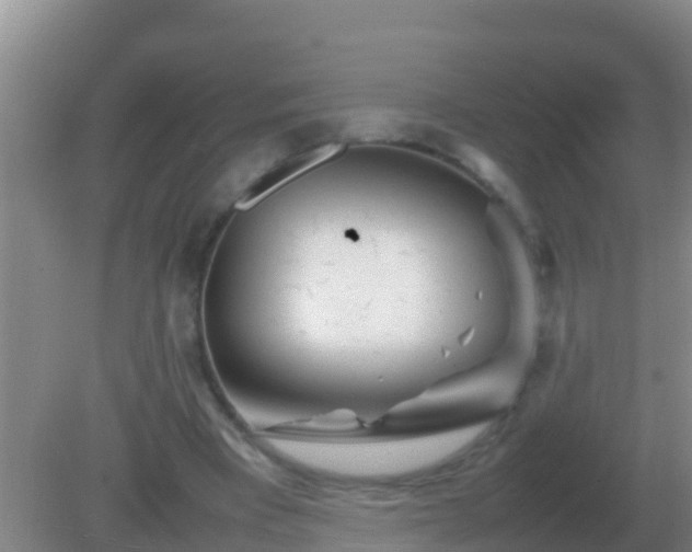 X0000082170393200701270005