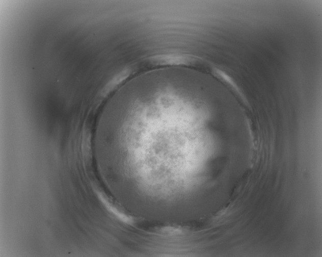 X0000082170394200701270005