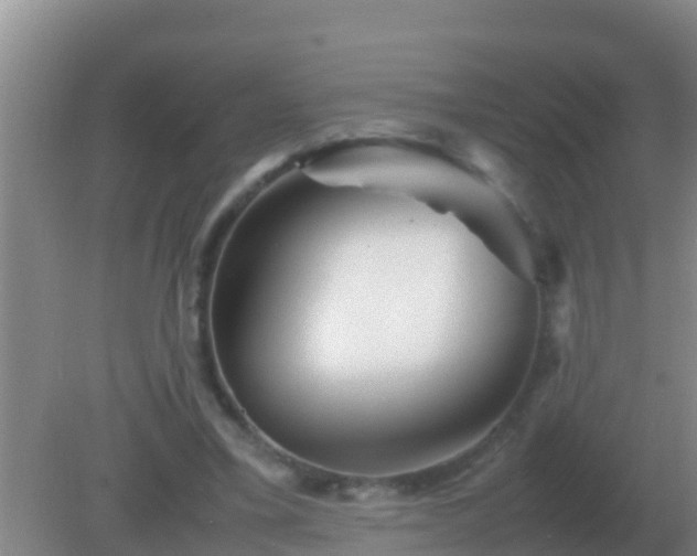 X0000082170395200701270005