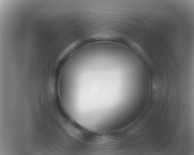 X0000082170396200701270005