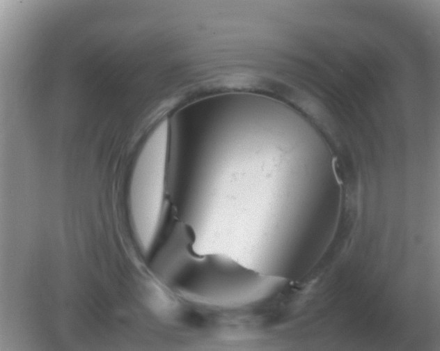 X0000082170397200701270005