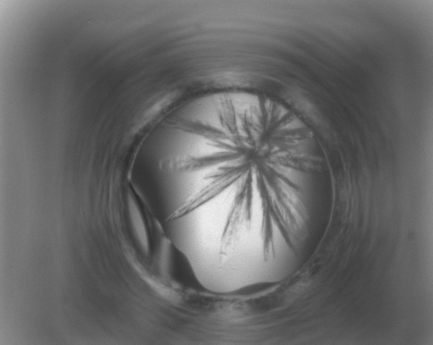 X0000082170398200701270005