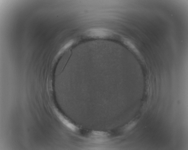 X0000082170399200701270005