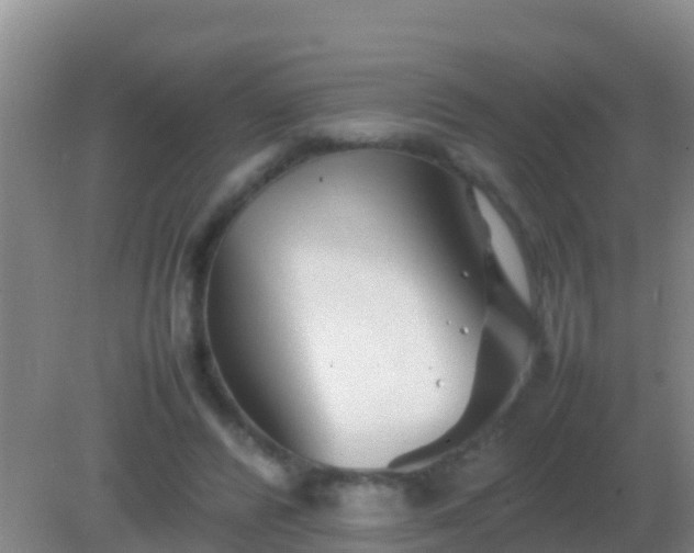 X0000082170400200701270005