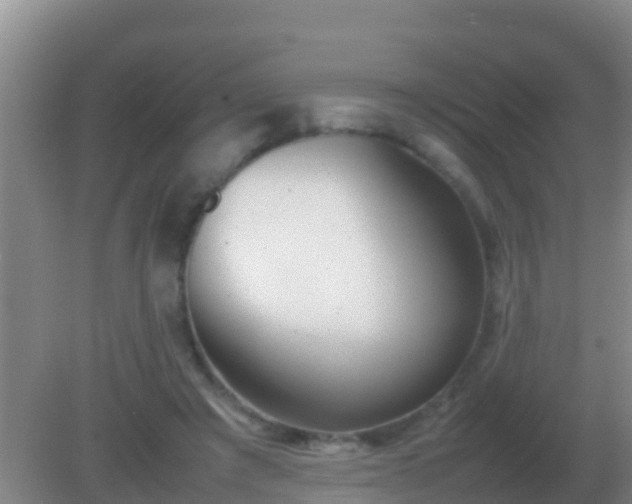 X0000082170401200701270005