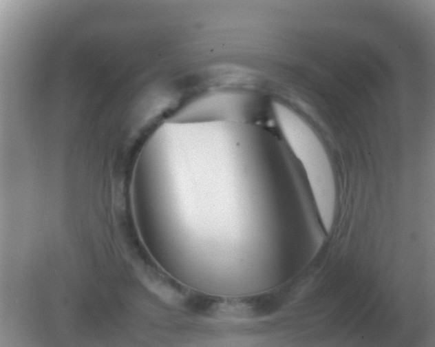 X0000082170403200701270005