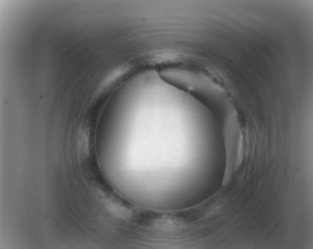 X0000082170404200701270005