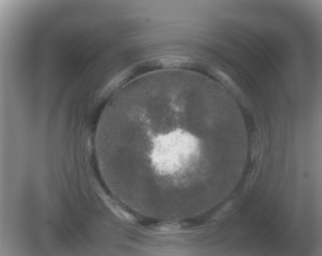 X0000082170405200701270005