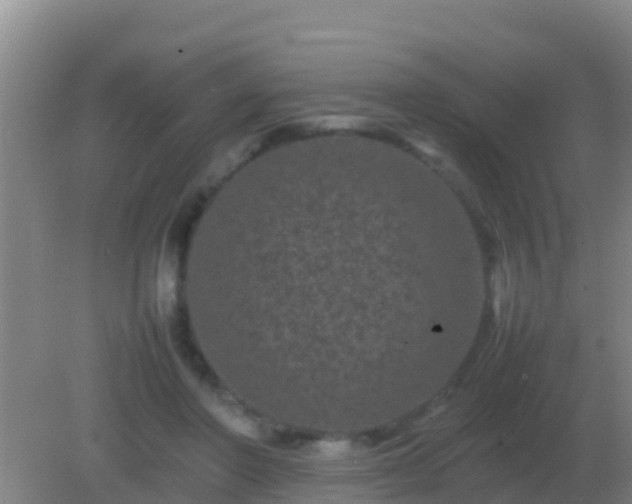 X0000082170406200701270005