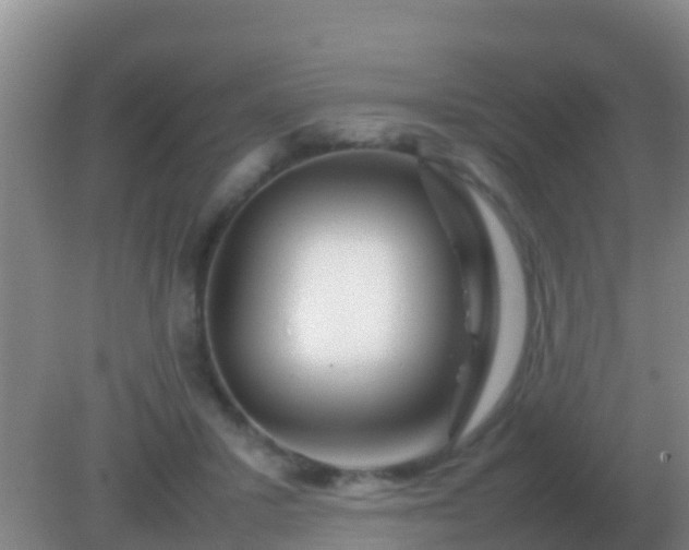 X0000082170407200701270005