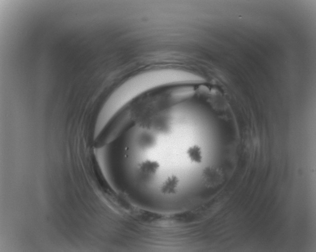 X0000082170408200701270005