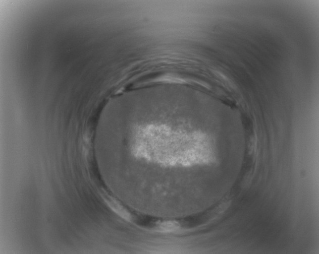 X0000082170409200701270005