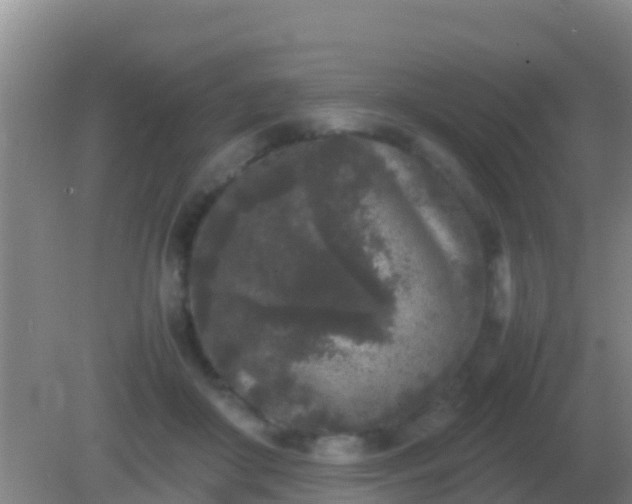 X0000082170410200701270005