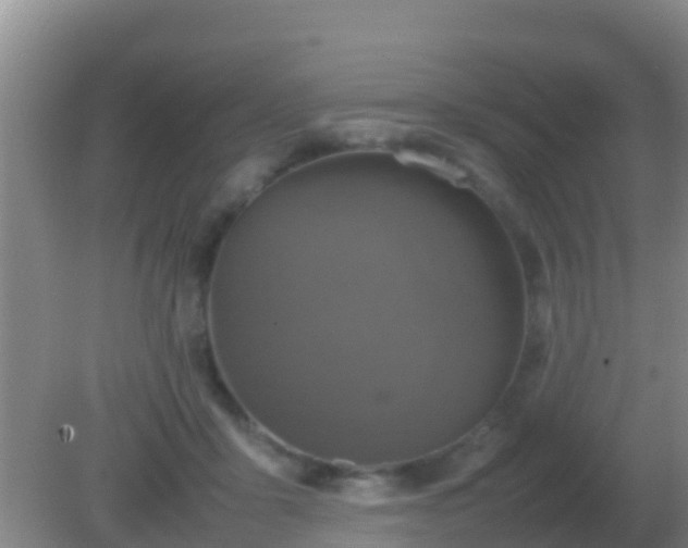 X0000082170411200701270005