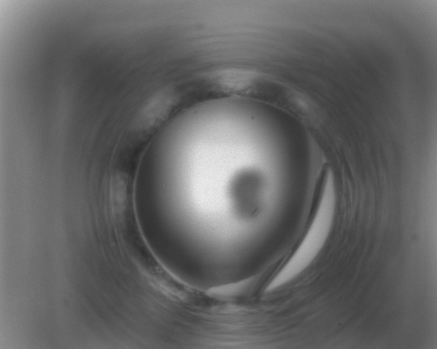 X0000082170412200701270005