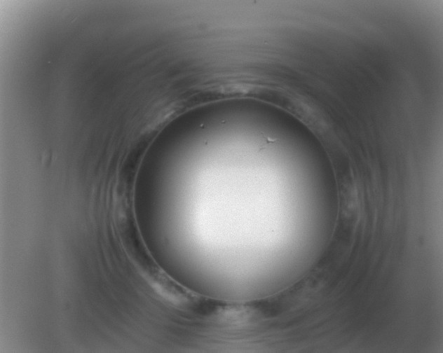 X0000082170414200701270005