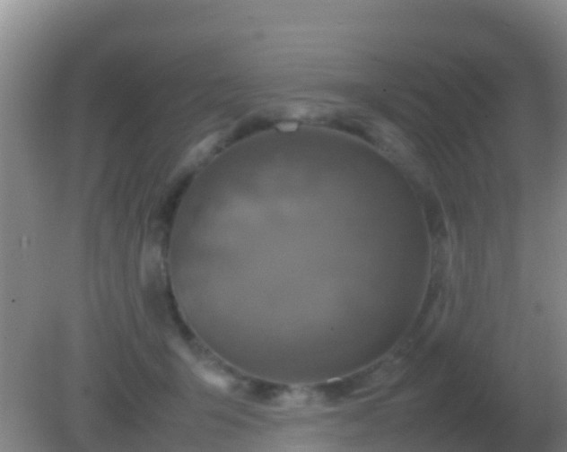 X0000082170415200701270005